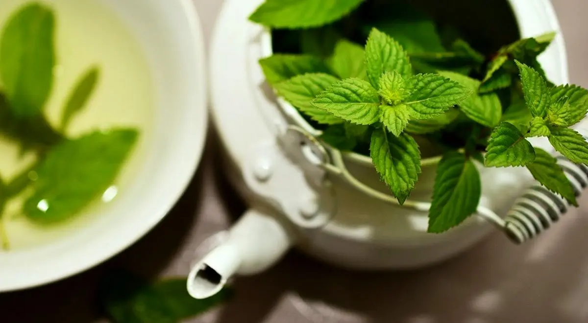 بهترین دمنوش‌ها برای نفخ معده