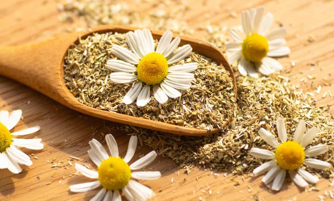 خواص بابونه باورنکردنی و فوق العاده است