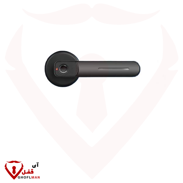 دستگیره درب الکترونیک DH2 لومباردی LOMBARDI